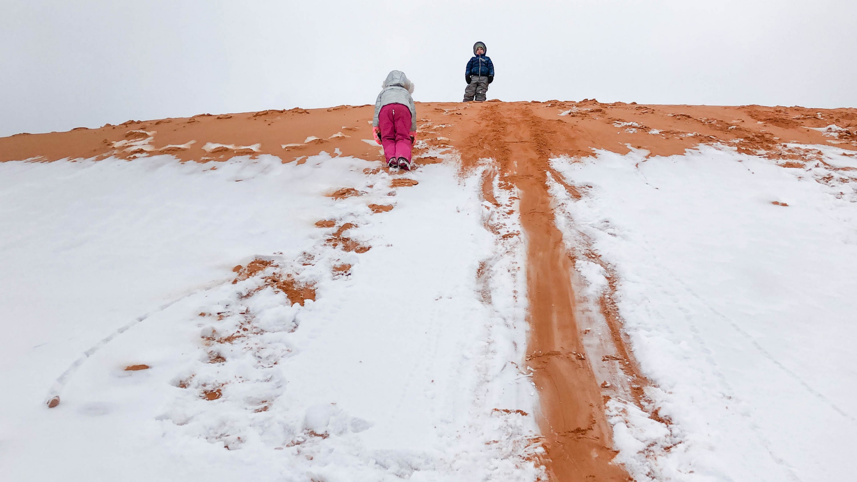 Is Coral Pink Sand Dunes Worth Visiting? (Things to Do) - We're in the  Rockies