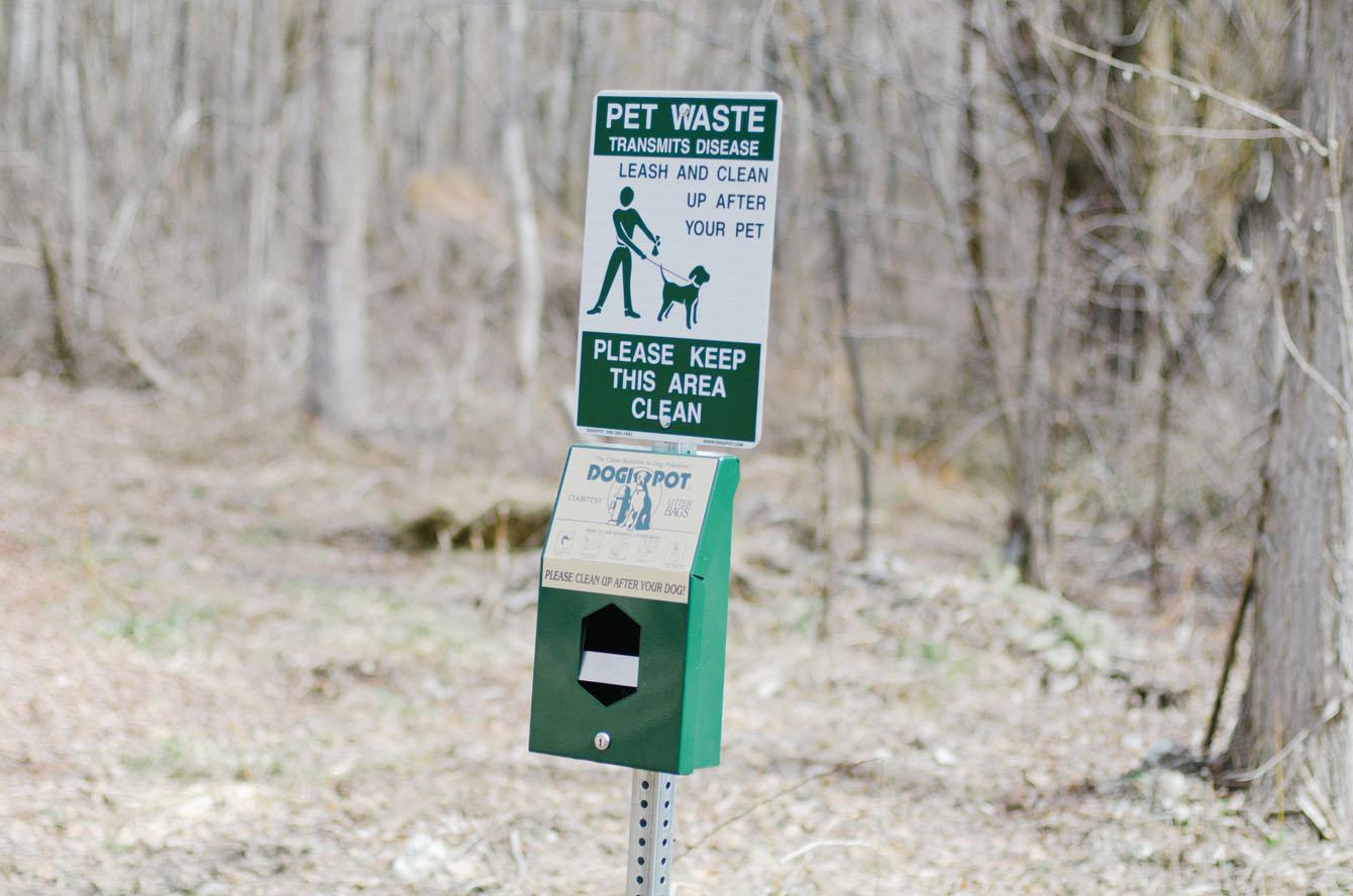 Favorite Dog Friendly Trails Oh My Dog The Salt Project