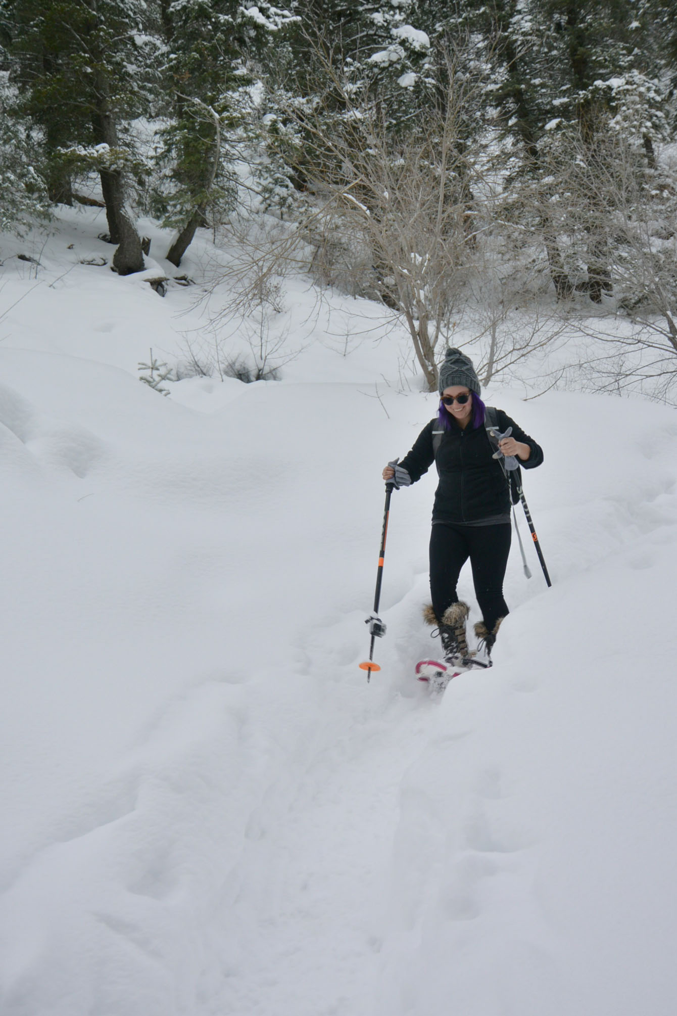 SnowShoeing Wheeler Creek Trail | The Salt Project