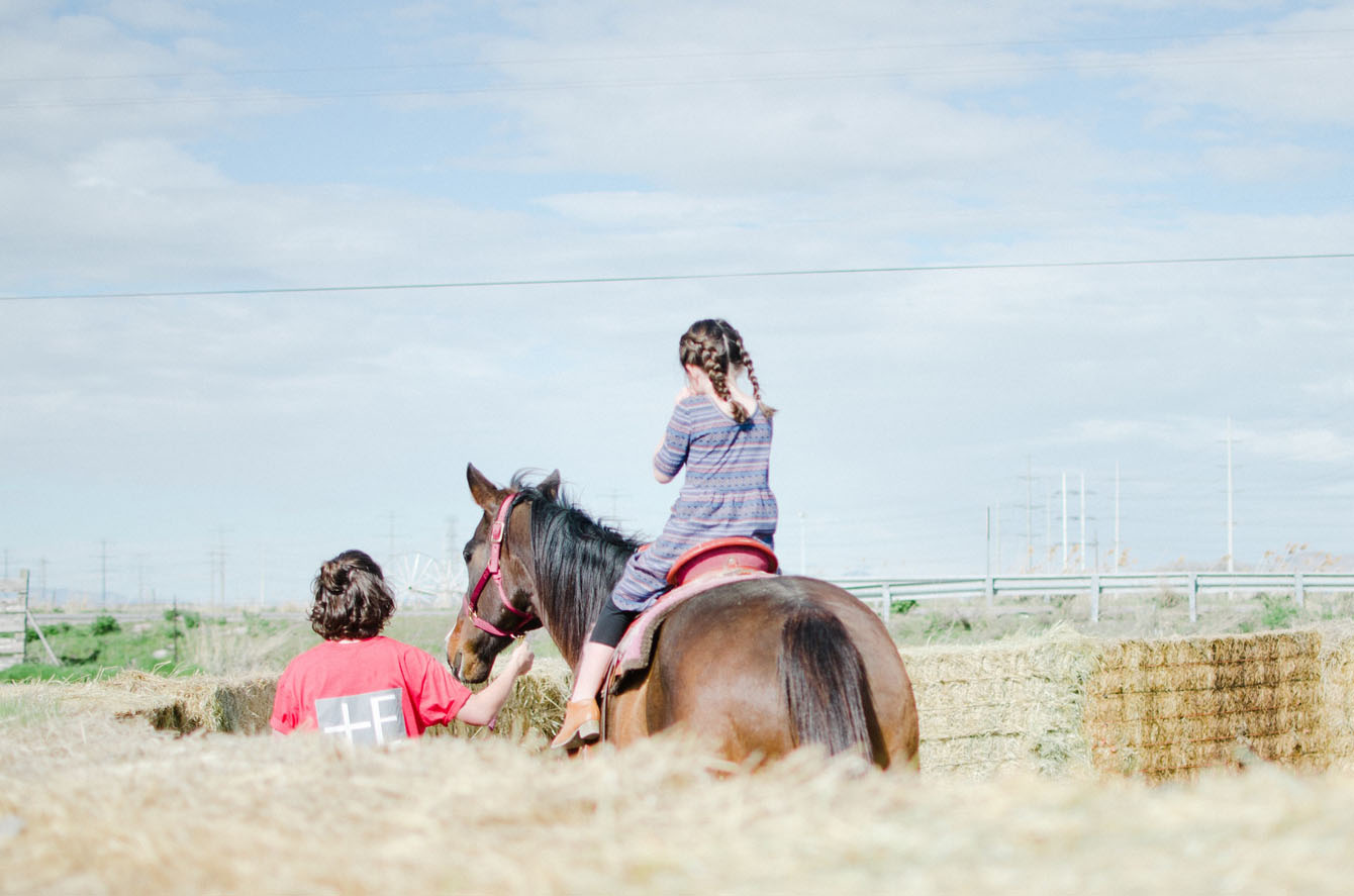 Cross E Ranch  The Salt Project