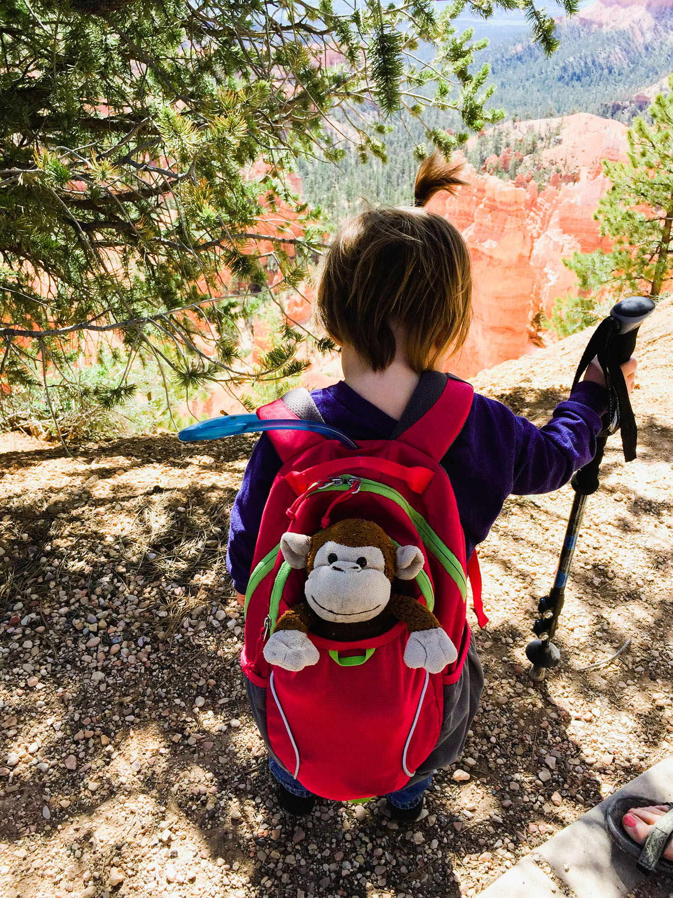 5 Must Haves for Summer Hiking a Baby - Toddler at Play