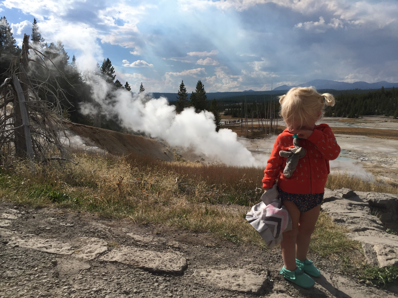 West Yellowstone in ONE Day | The Salt Project